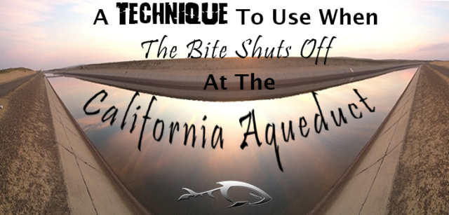 A Technique To Use When The Bite Shuts Off At The California Aqueduct