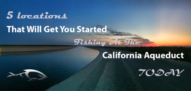 5 Locations That Will Get You Started Fishing At The California Aqueduct Today
