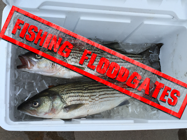 Striper Fishing At The California Aqueduct Near FloodGates