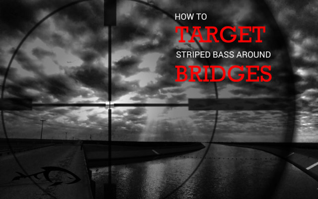 How To Target Striped Bass Around Bridges