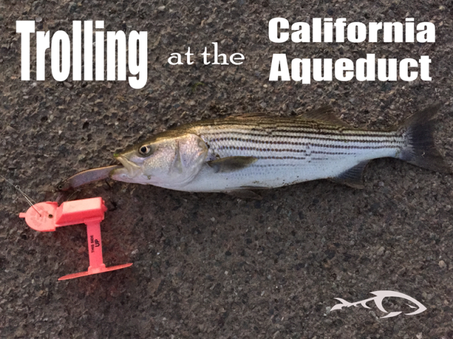 Trolling With A Planar Board At The California Aqueduct