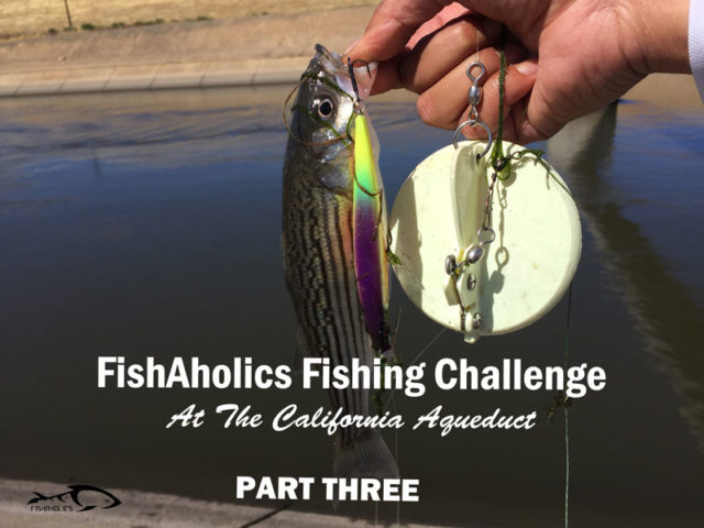 FishAholics Fishing Challenge At The California Aqueduct: Part Three