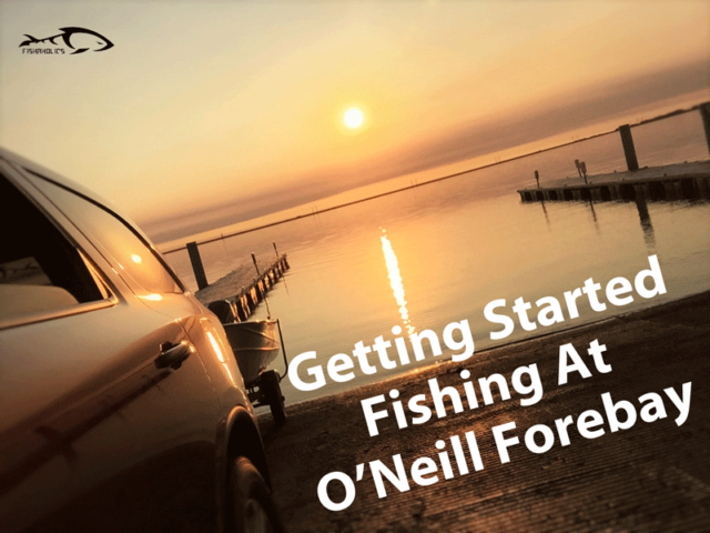 Getting Started Fishing At O’Neill Forebay