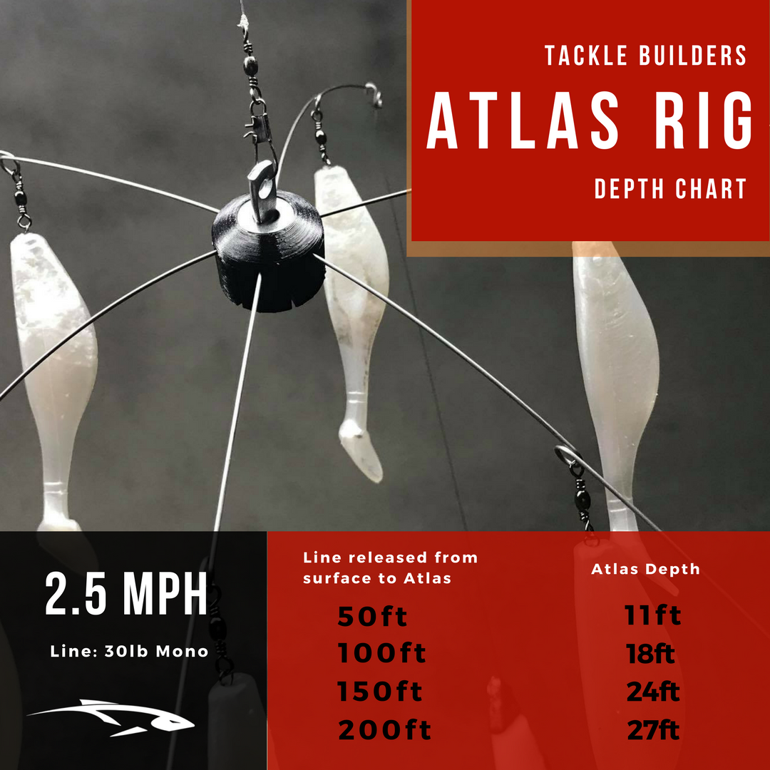 Atlas umbrella rig for stripers! 