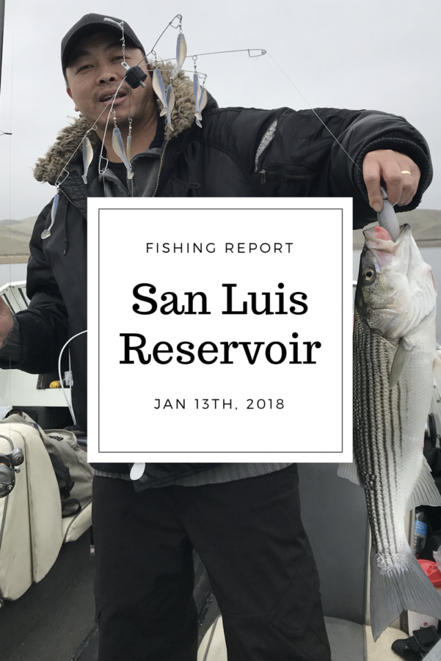 Fishing Report: San Luis Reservoir January 13, 2018