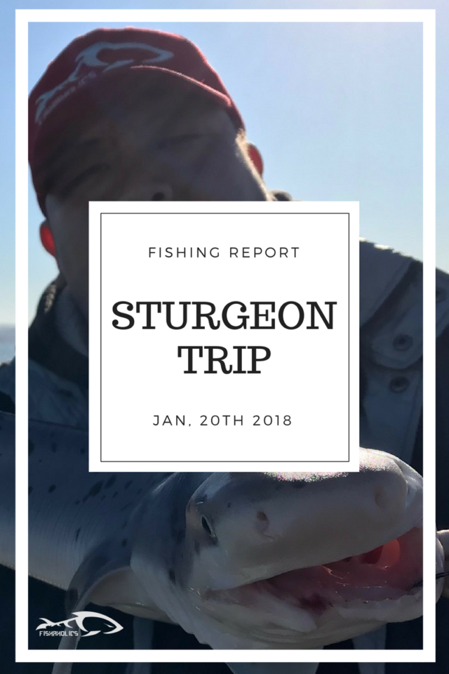 Fishing Report: Sturgeon Trip 1-20-18
