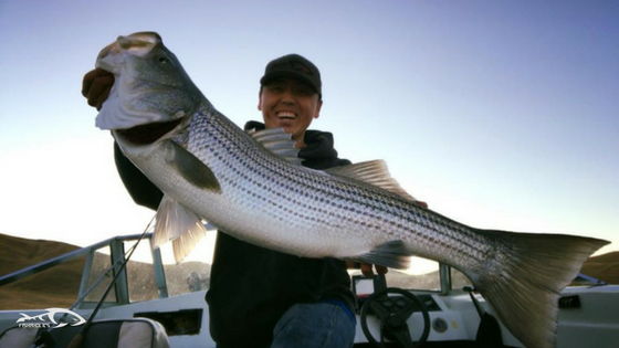  Striper Trolling 101: Trolling for Stripers in the  Sacramento Delta