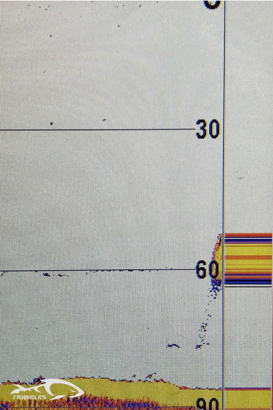 Trolling Depth Chart For Stripers