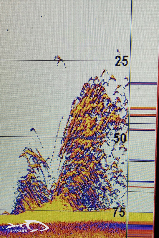 Umbrella Rig Trolling Depth Chart