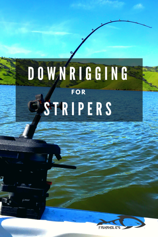 Using a Downrigger 