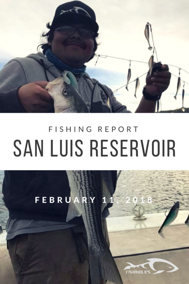 Fishing Report: San Luis Reservoir February 11, 2018