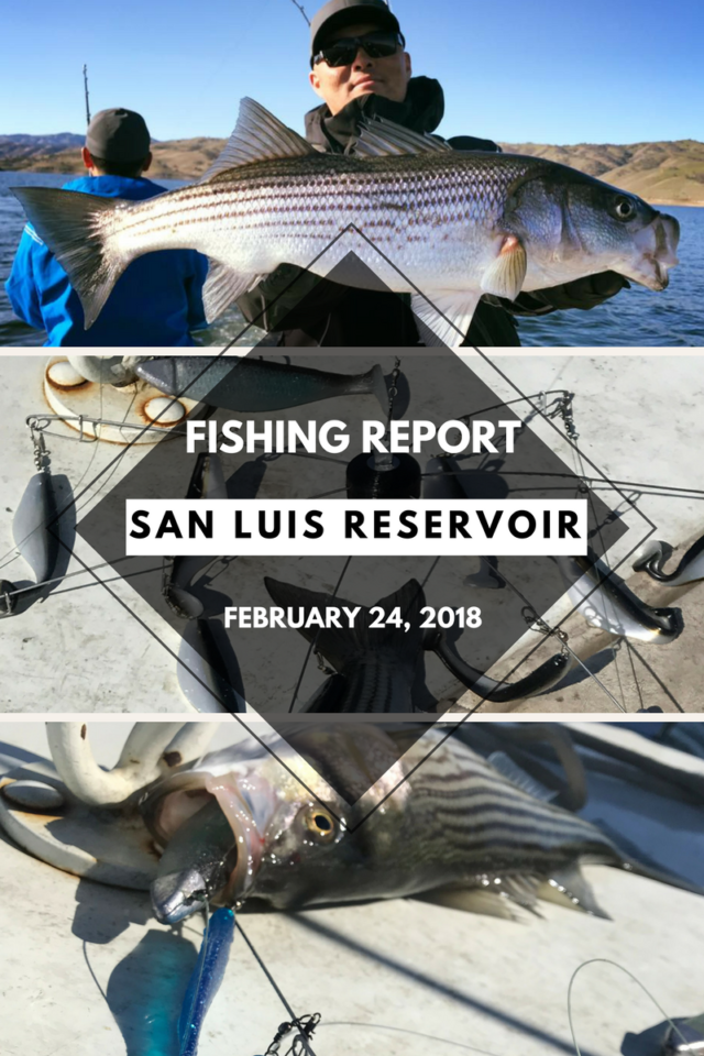 Fishing Report: San Luis Reservoir February 24, 2018