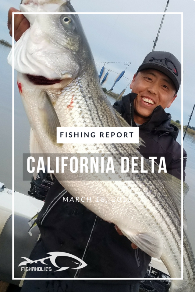 Fishing Report: California Delta March 18, 2018