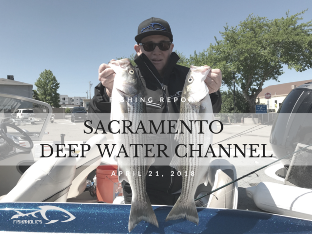 Fishing Report: Sacramento Deep Water Ship Channel aka DWC April 21,2018