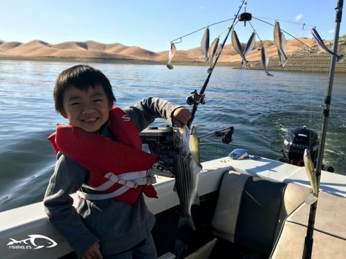 Fishing Report: San Luis Reservoir June 19, 2018