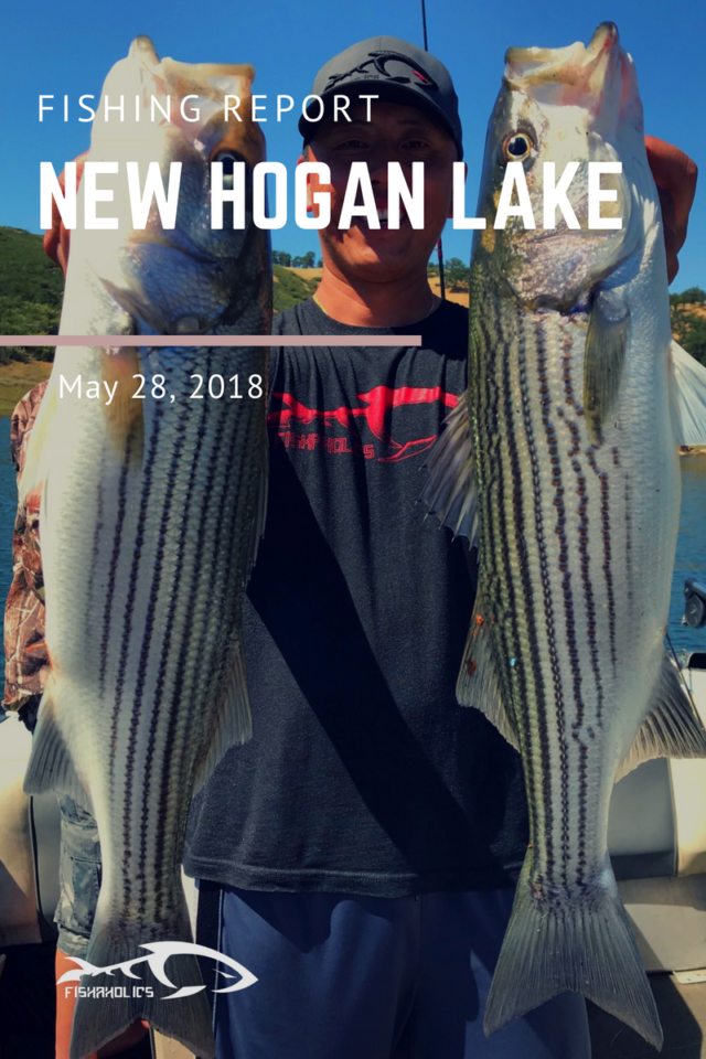 Fishing Report: New Hogan Lake May 28, 2018
