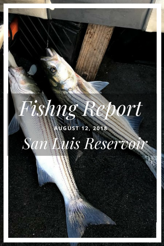 Fishing Report: San Luis Reservoir August 12, 2018