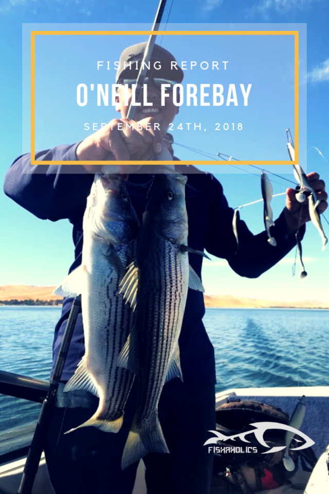 Fishing Report: O’Neill Forebay September 23, 2018