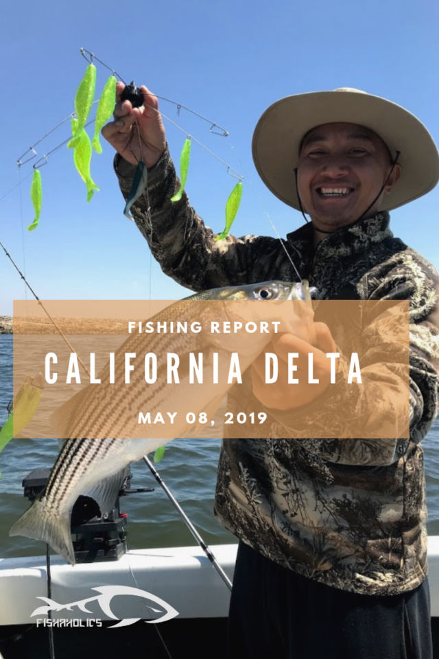 Fishing Report: California Delta May 8, 2019